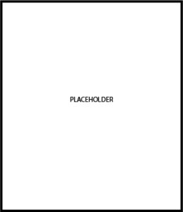 placeholder