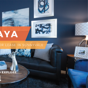 Meet Naya split right image of naya living room